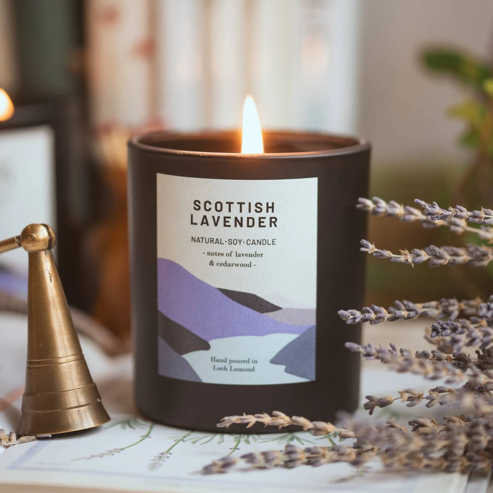 Scottish Lavender, Organic Scented Candle | Ocoee House: Single Wick