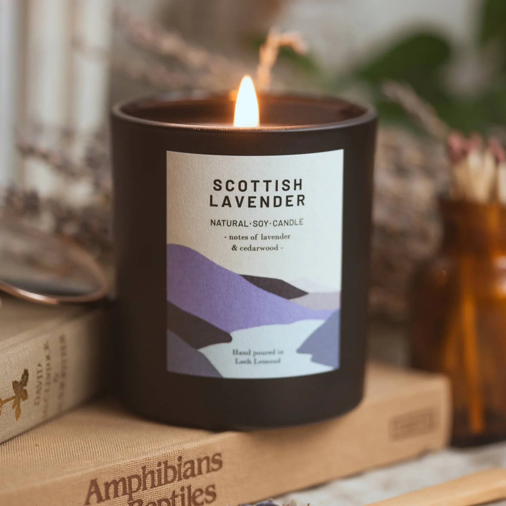 Scottish Lavender, Organic Scented Candle | Ocoee House: Single Wick - Image 2