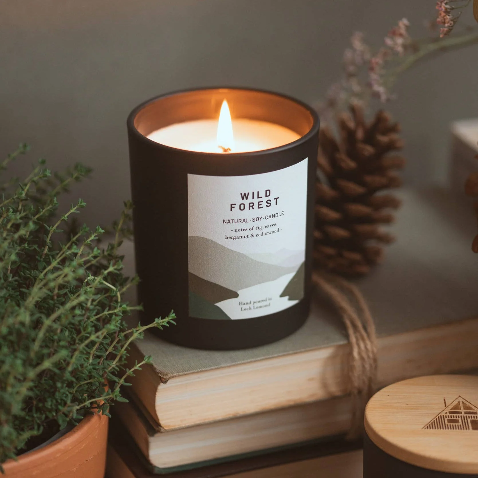 Wild Forest, Organic & Vegan Scented Candle | Ocoee House: Single Wick