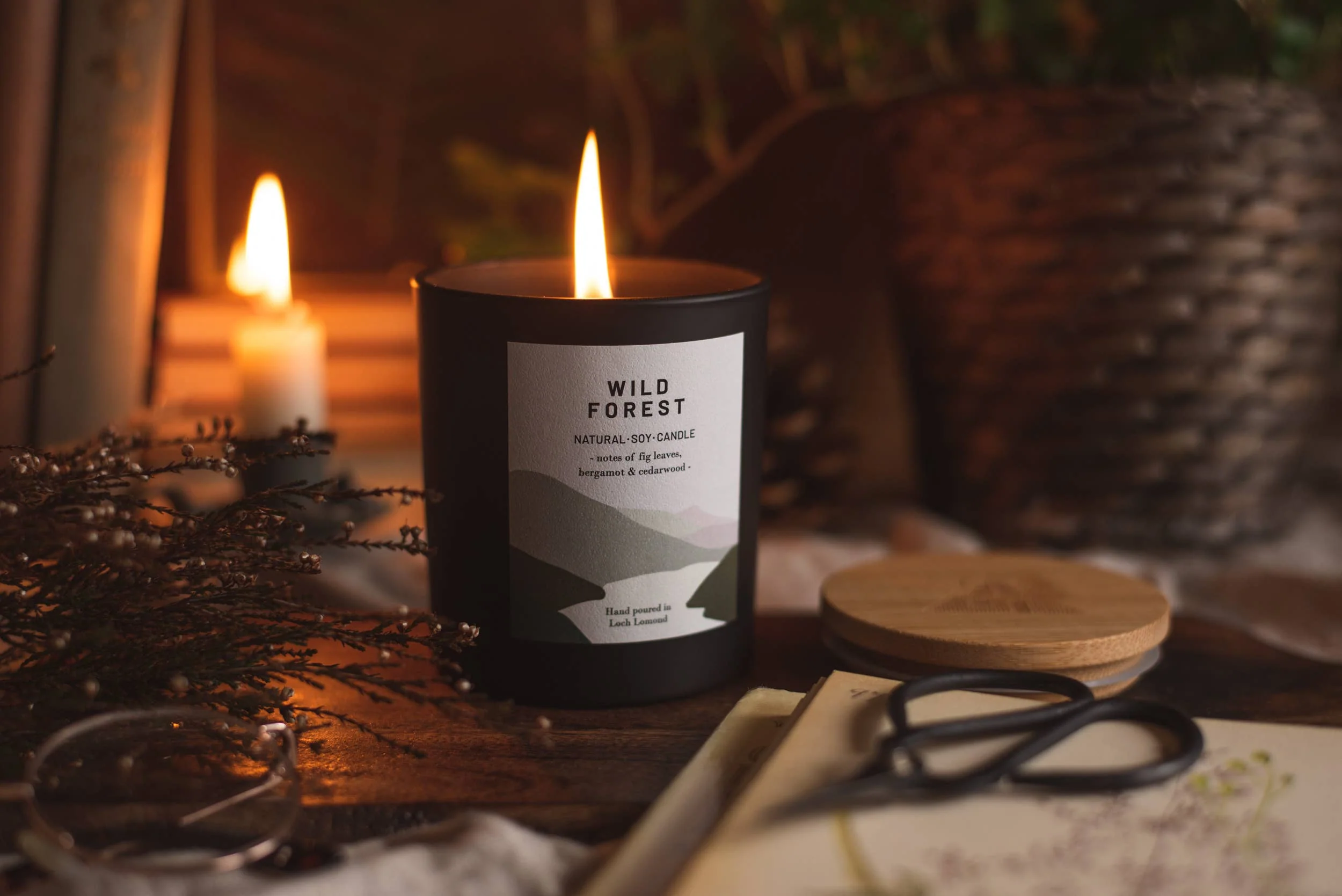 Wild Forest, Organic & Vegan Scented Candle | Ocoee House: Single Wick - Image 3